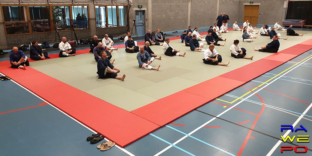 Kubokai International budo3