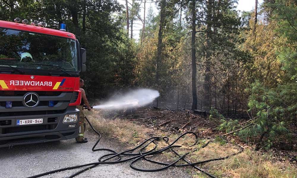 brand staatsbossenjpg