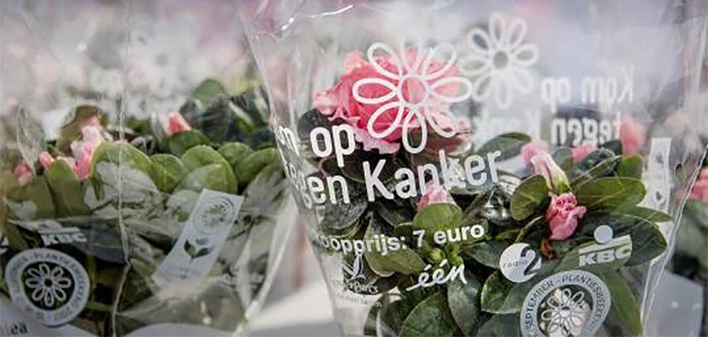 komoptegenkanker2019