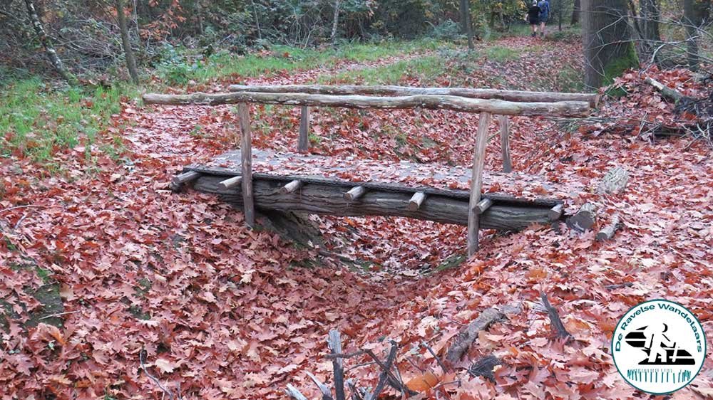 12e elfenwandeling2019 1