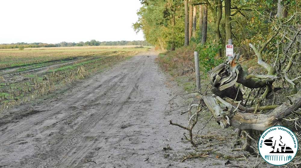 12e elfenwandeling2019 3