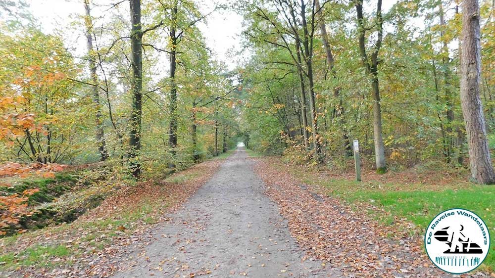 12e elfenwandeling2019 4