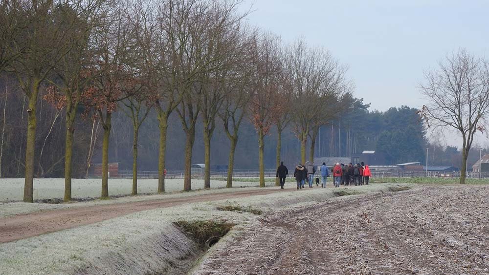 miekepap2019 2