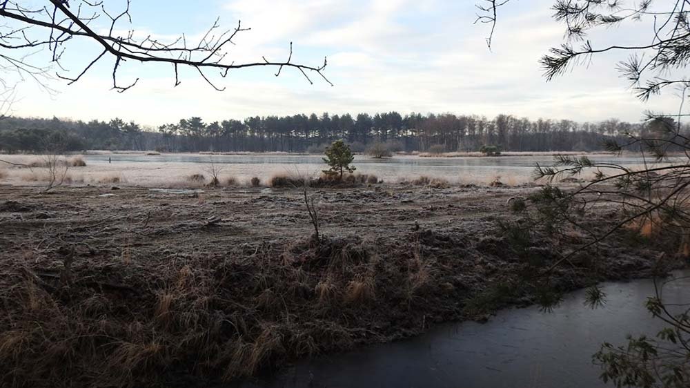 miekepap2019 6