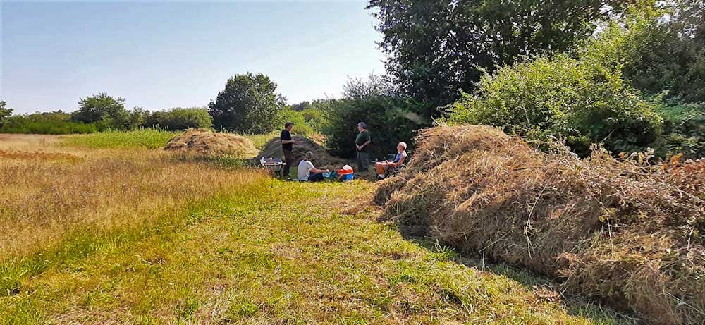 BeheerRavels natuurpunt