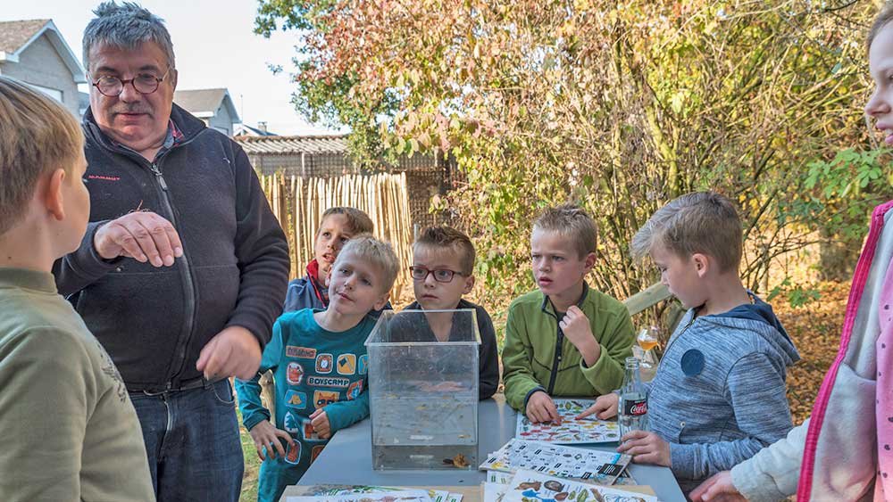 insecten natuurpunt