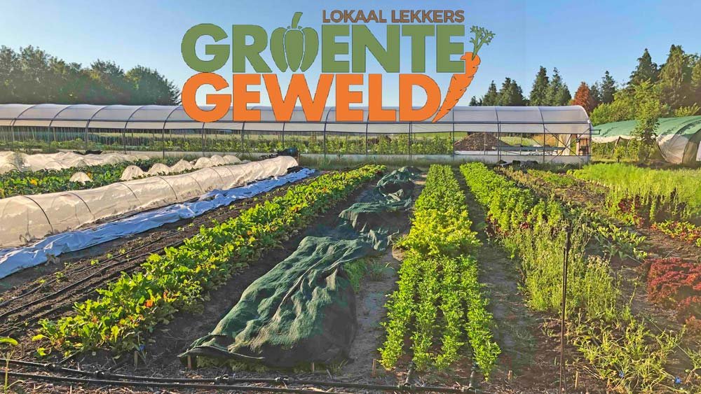 groentegeweld veld