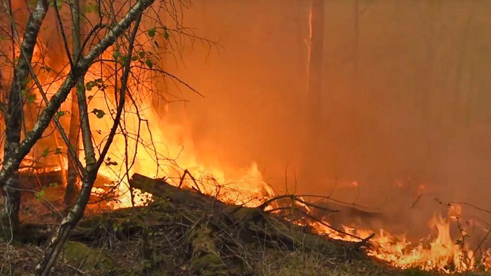 brand moergestel