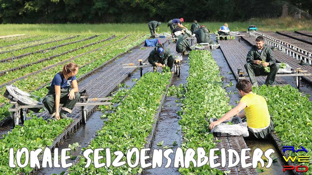 SEIZOENSARBEIDERS