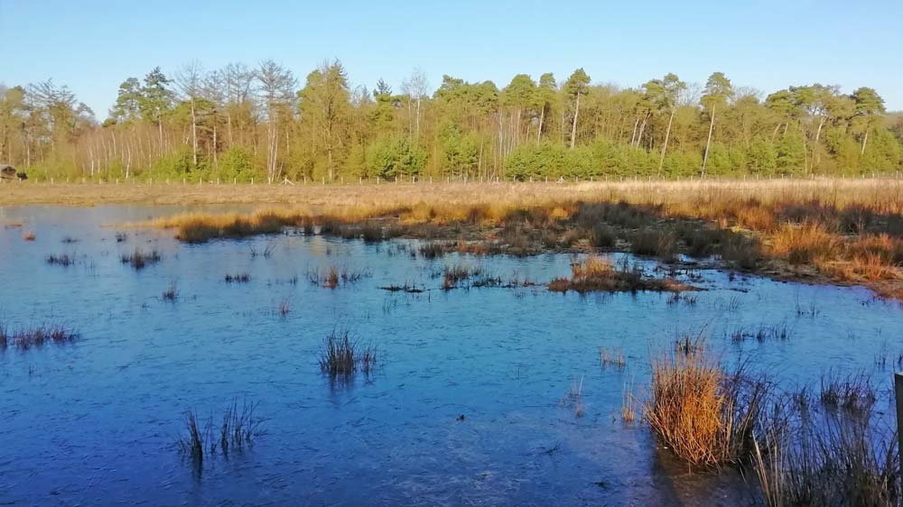 Kesseven Natuurpunt