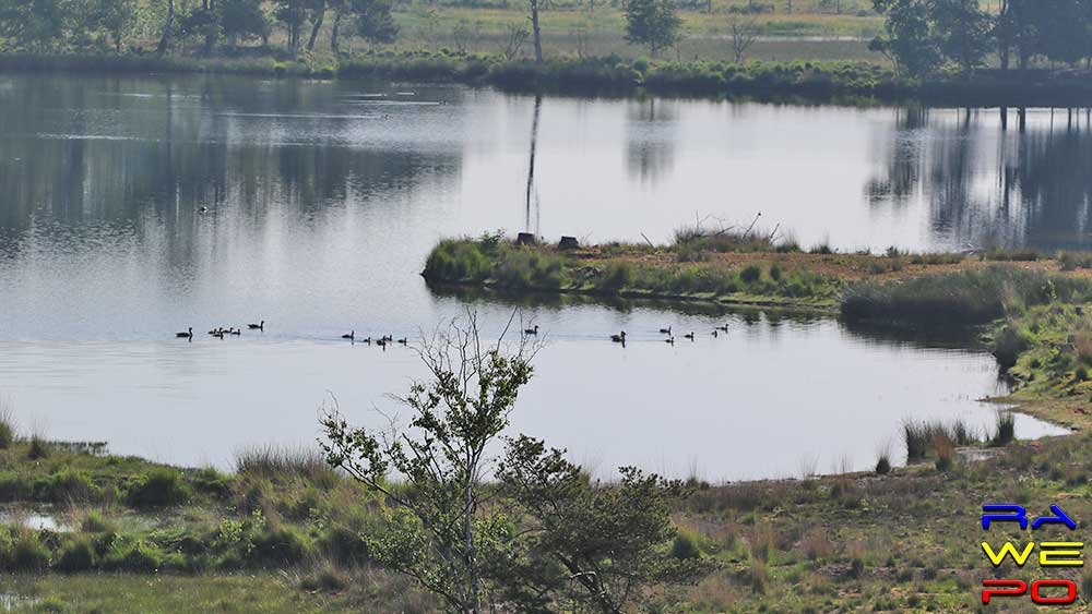herfstwandeling2WS2020 1