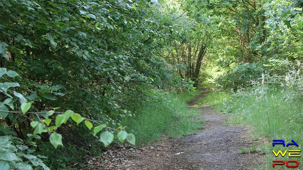 herfstwandeling2WS2020 2