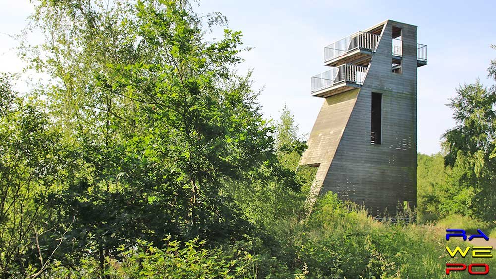 herfstwandeling2WS2020 3