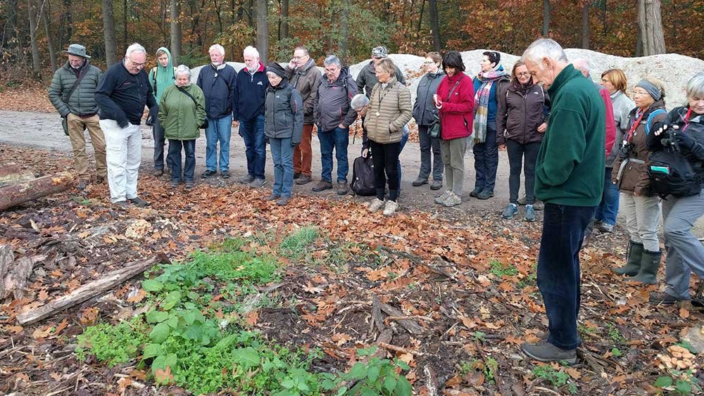 paddenstoelencursus Natuurpunt