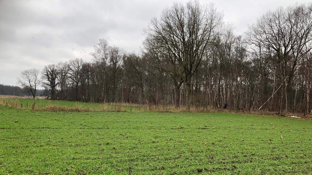 aankoop bos Nieuwkerk2