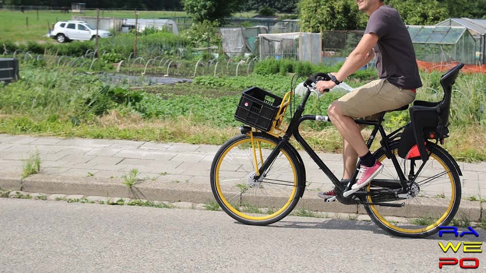 fietser groen