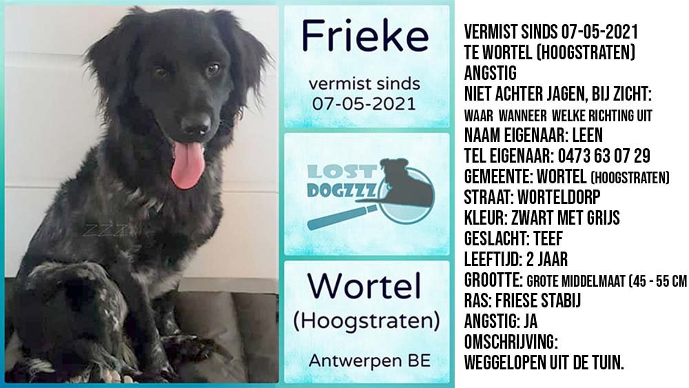 frieke