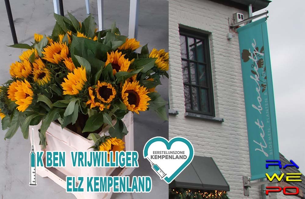 boeketje zonnebloemen
