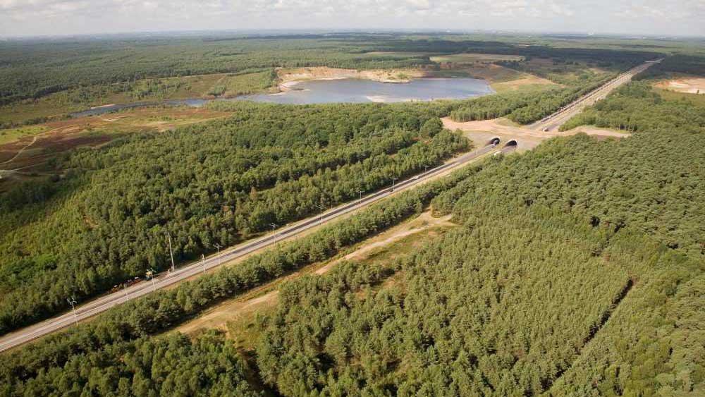 nationaal park