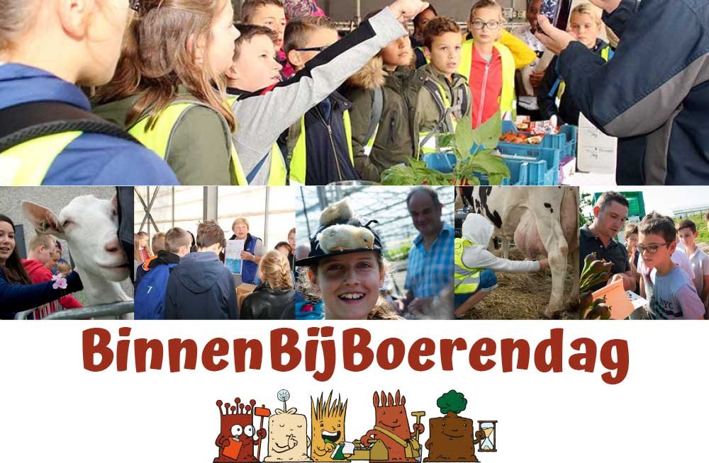 BBB Flyer