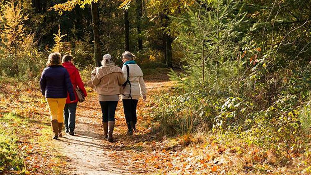 elfenwandeling