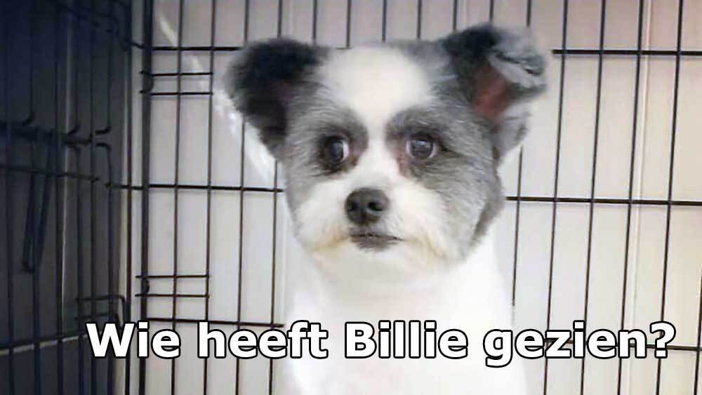 billie