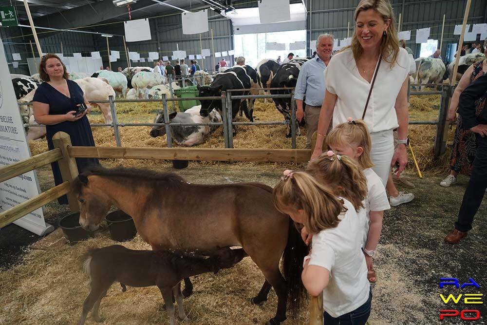 agridagen verl9