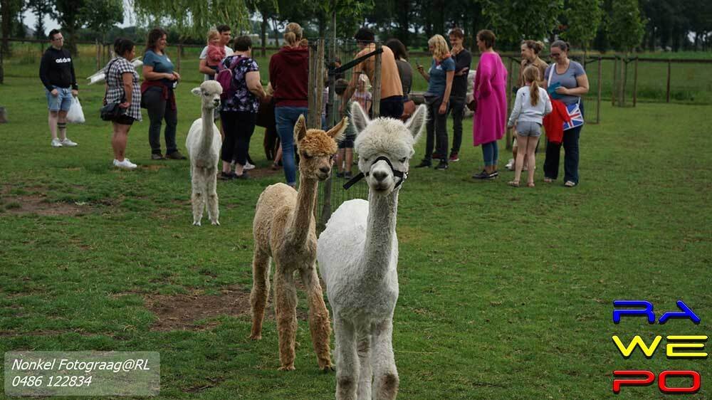dierenweelde2
