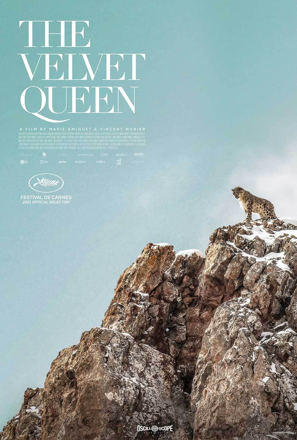 velvet queen