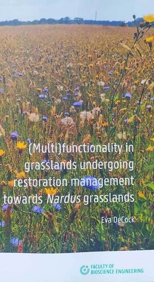 grasland rehabilitation