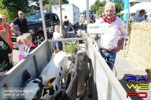 midzomer gewicht