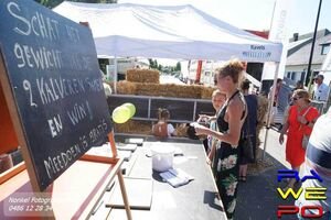 midzomer raadspel