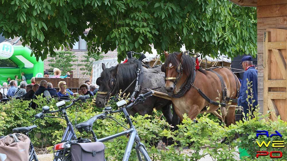 Molenfeesten2022 Rosmolen
