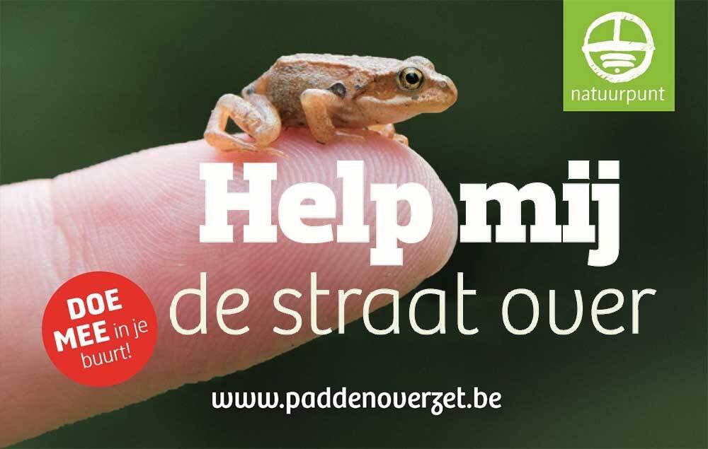 Paddenoverzet Weelde front