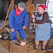 varkens met stress2