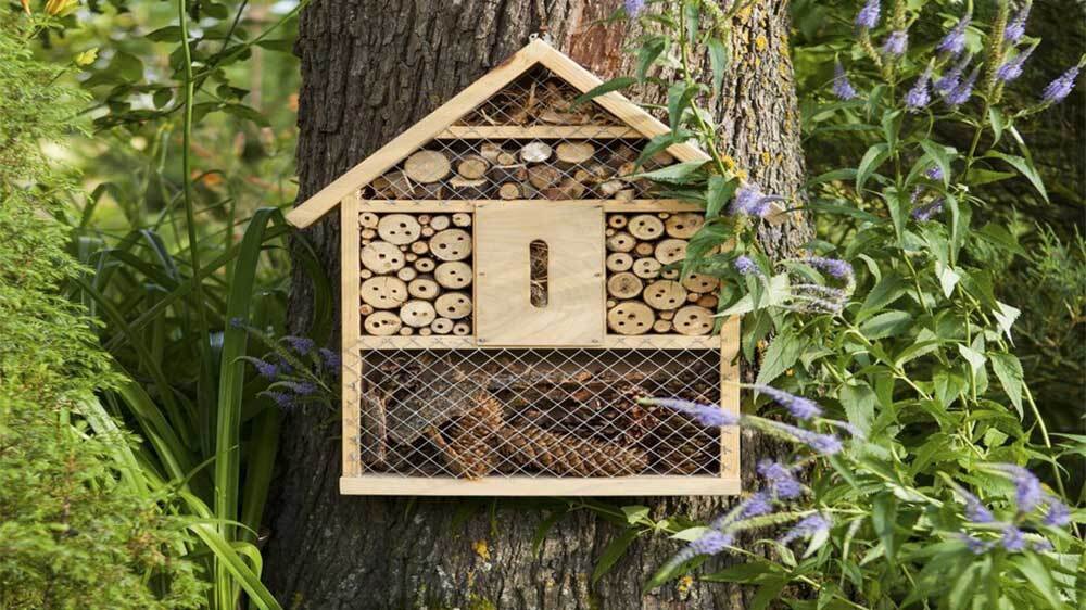 insectenhotel