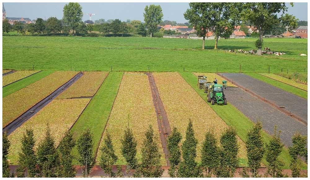 sedemveld2