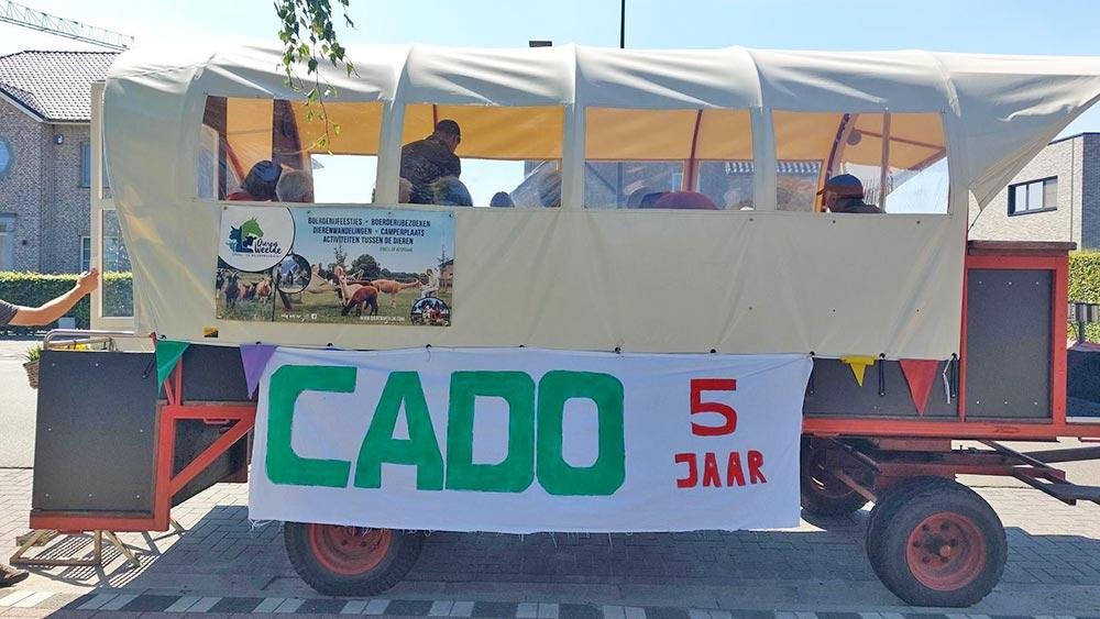 cado5 2