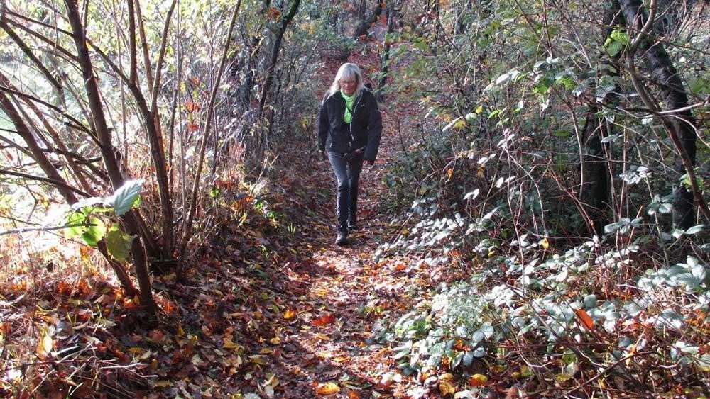 elfenwandeling3