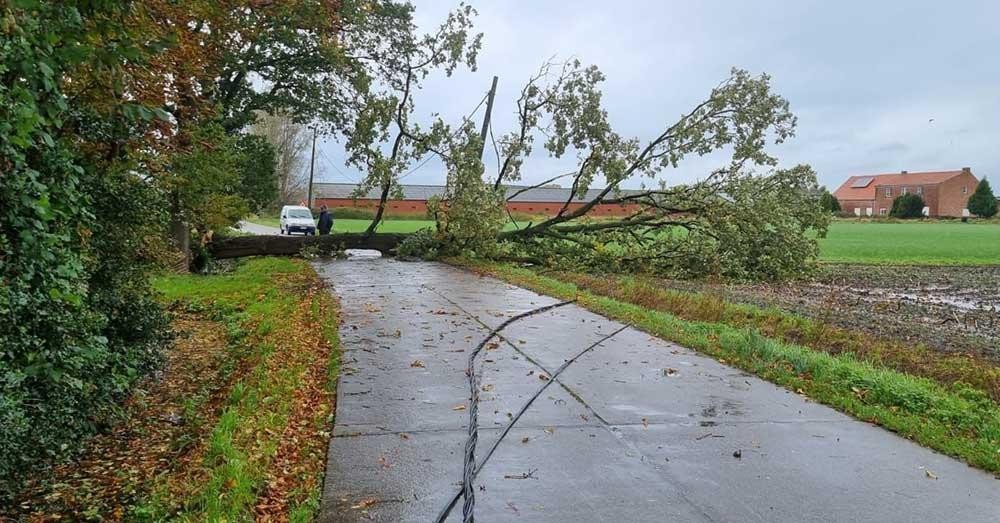 storm Ciaran1