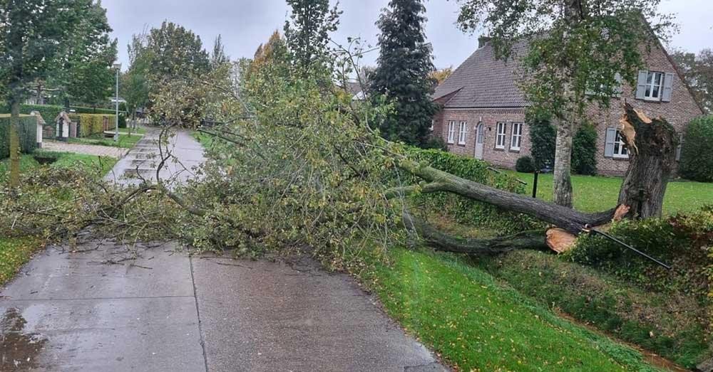 storm Ciaran1