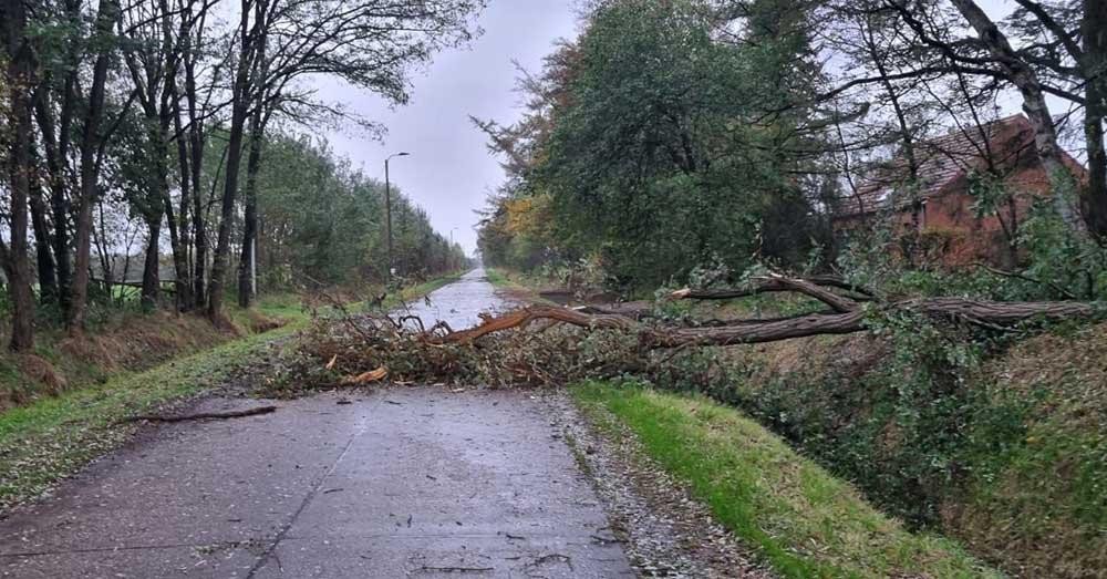 storm Ciaran6