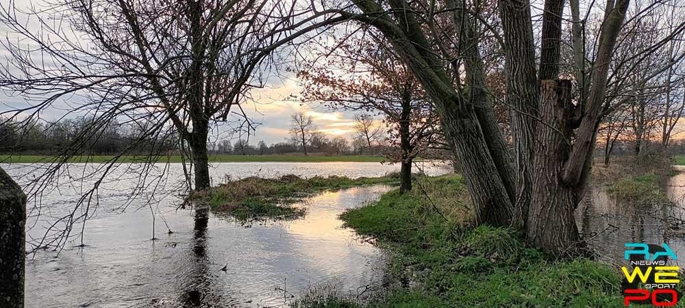 Poppel am see2