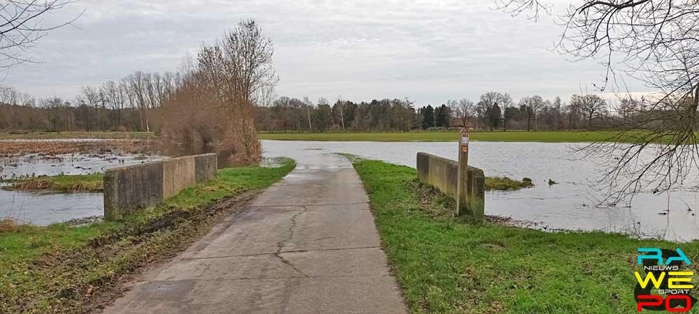 Poppel am see3