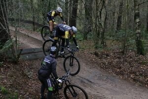 IMG 1050 Groot