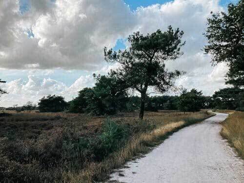 17e miekepaproute2