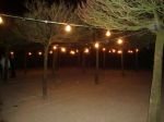 Brouwerij_-_3_herstelde_petanquebanen