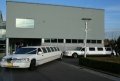 IMG 4497