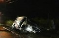 ongeval Aarledijk_Poppel_070213