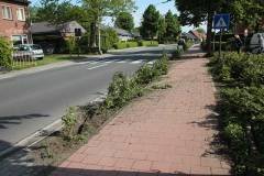 IMG 4289